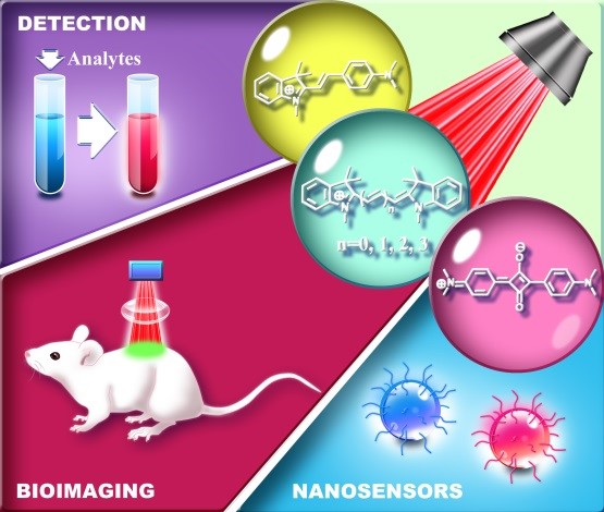 基于菁染料平臺熒光探針的最新進展-精細化工重點實驗室