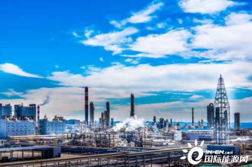 能源保障能力躍上新臺階 推動三大目標協(xié)調(diào)優(yōu)化發(fā)展